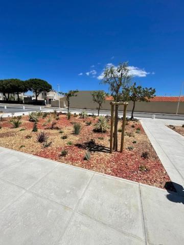 Appartement Port Leucate Dış mekan fotoğraf